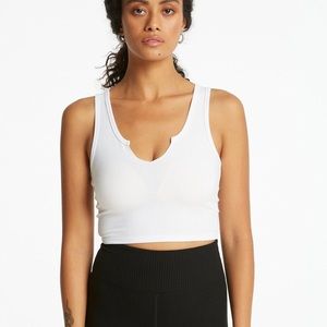 Year of Ours notch tank